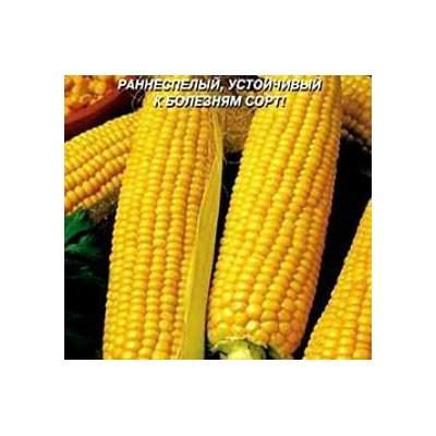 Кукуруза Лакомка Белогорья сахарная 100,0 г (цена за 1 шт)