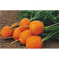 Морковь Парижская каротель 25 г (цена за 1 шт)