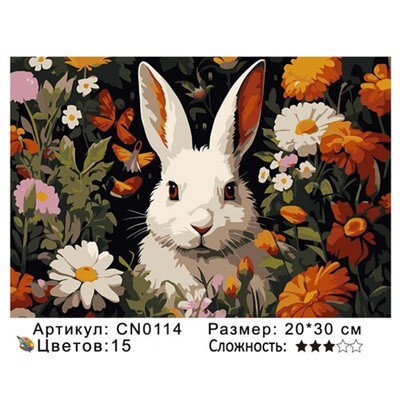 PH23 CN0114, 20х30 см