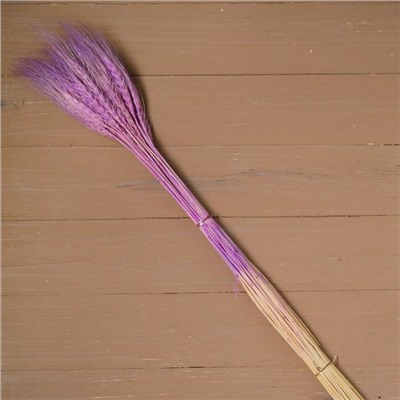 Сухой колос пшеницы, набор 50 шт., цвет фиолетовый