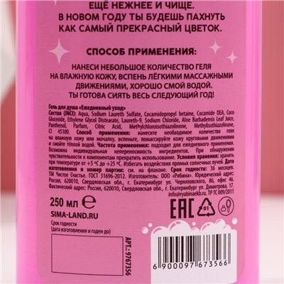 Новогодний гель для душа «Дед - Мороз, а ты Баба-огонь!», 250 мл, аромат малины и пионов, Новый Год