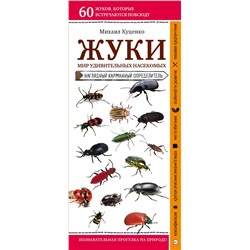 Жуки. Мир удивительных насекомых Куценко М.