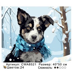 PH45 CWA8521, 40х50 см